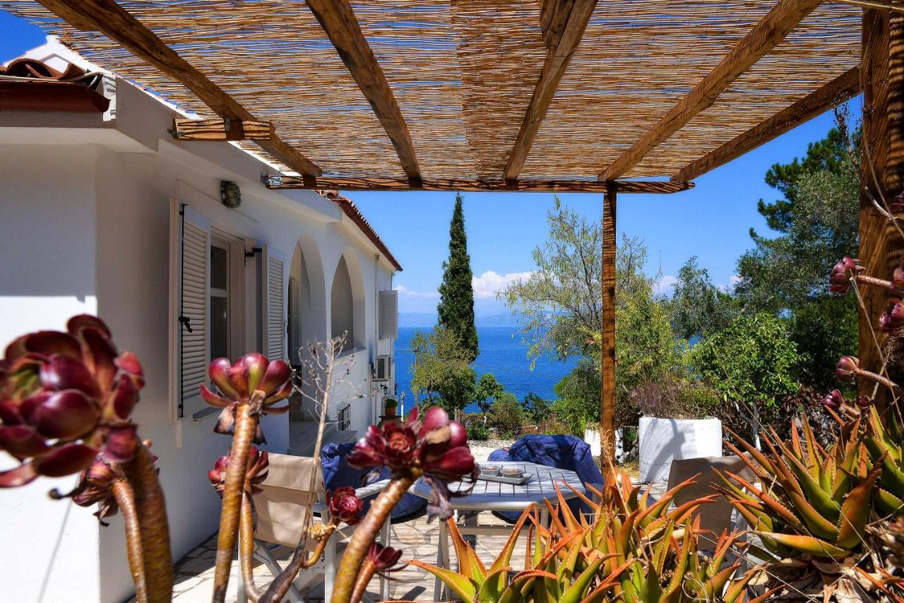 New! Paxoswhite Sea View Apartments & Studios! Ґайос Екстер'єр фото